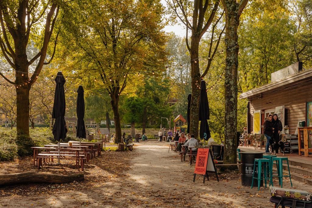 AMSTERDAM Baetostraat 7-1image 40