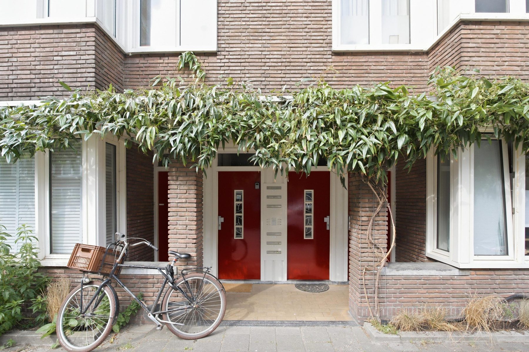 
    Esmoreitstraat 35-3|Amsterdam
