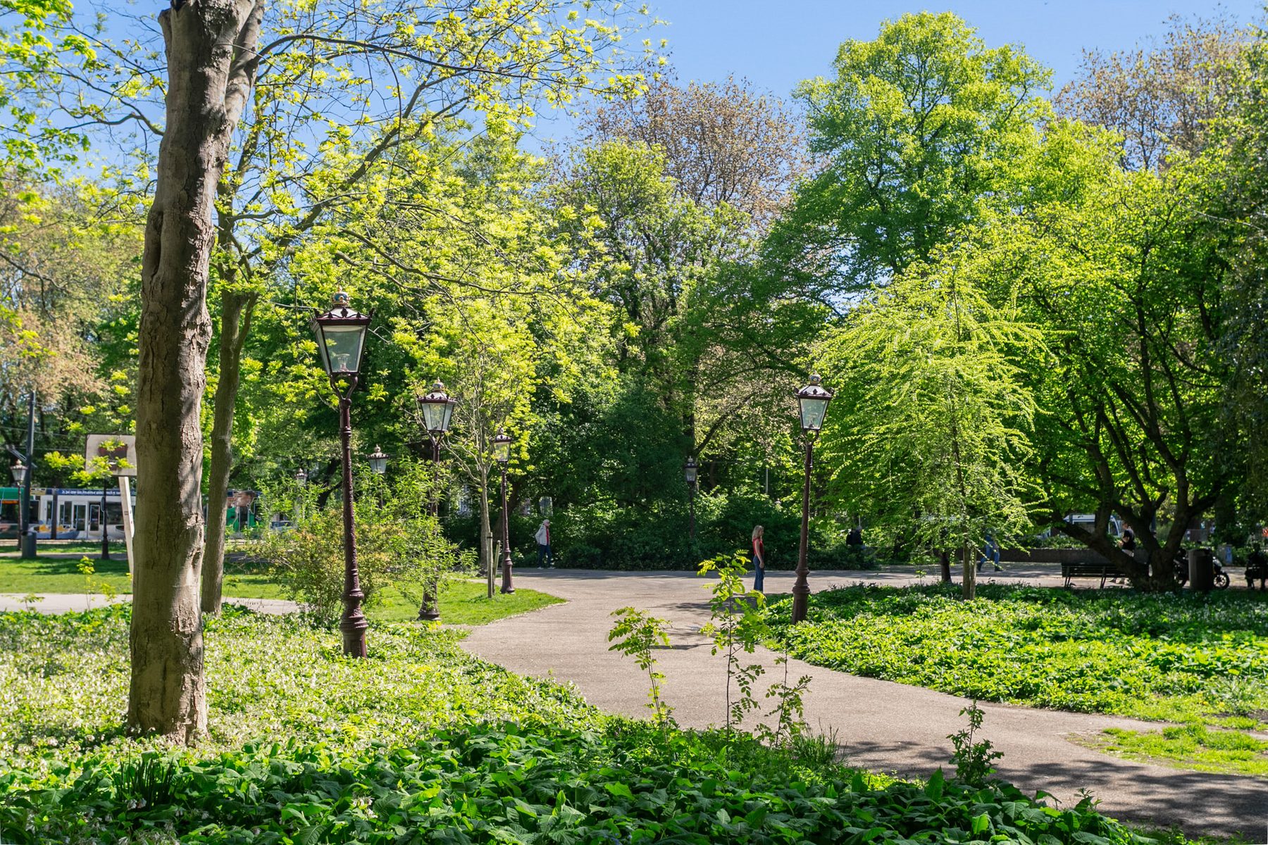 AMSTERDAM Fokke Simonszstraat 84-3image 25