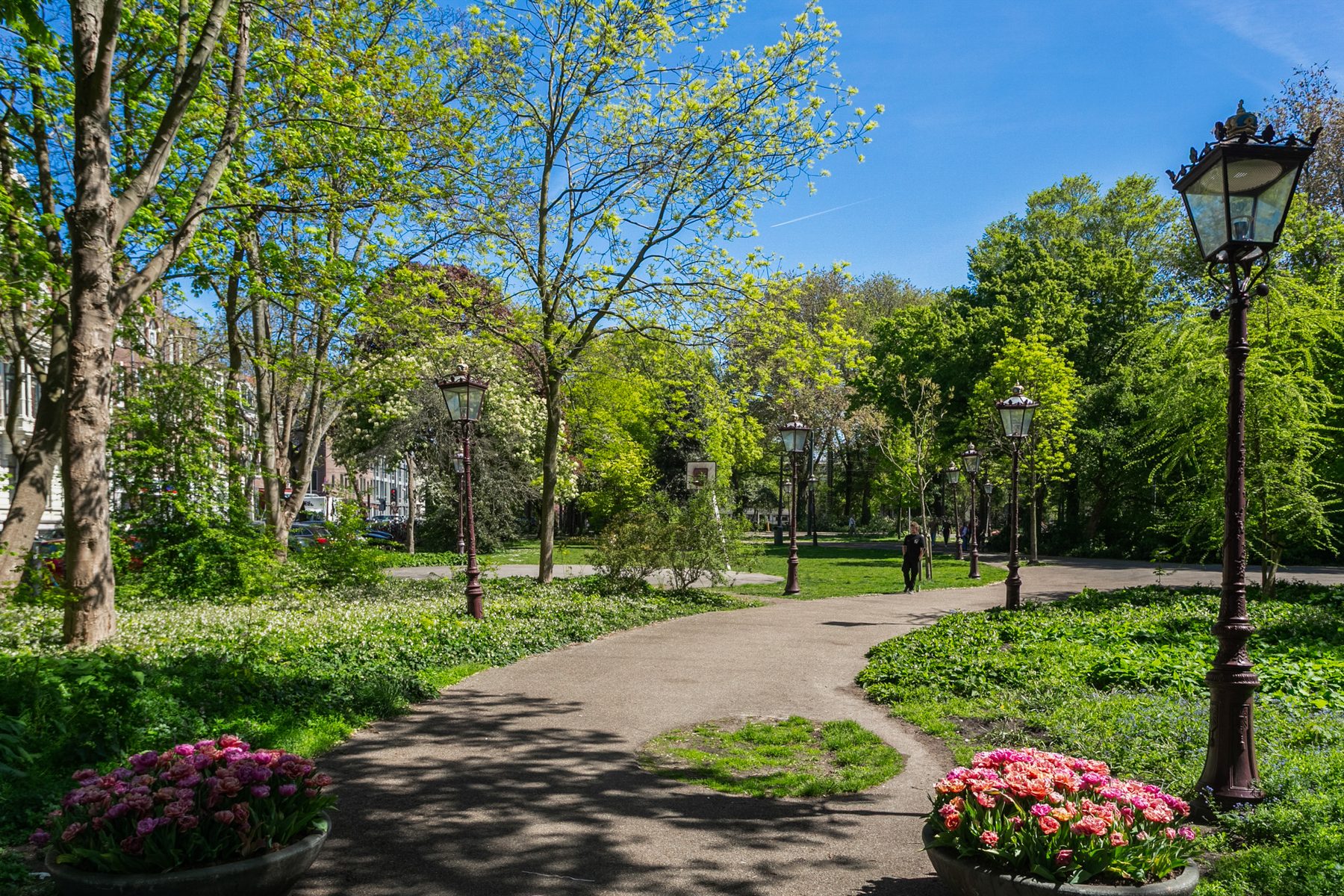 AMSTERDAM Fokke Simonszstraat 84-3image 26