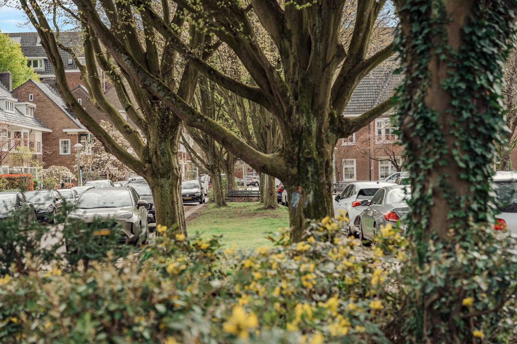 AMSTERDAM Holbeinstraat 4-2image 63