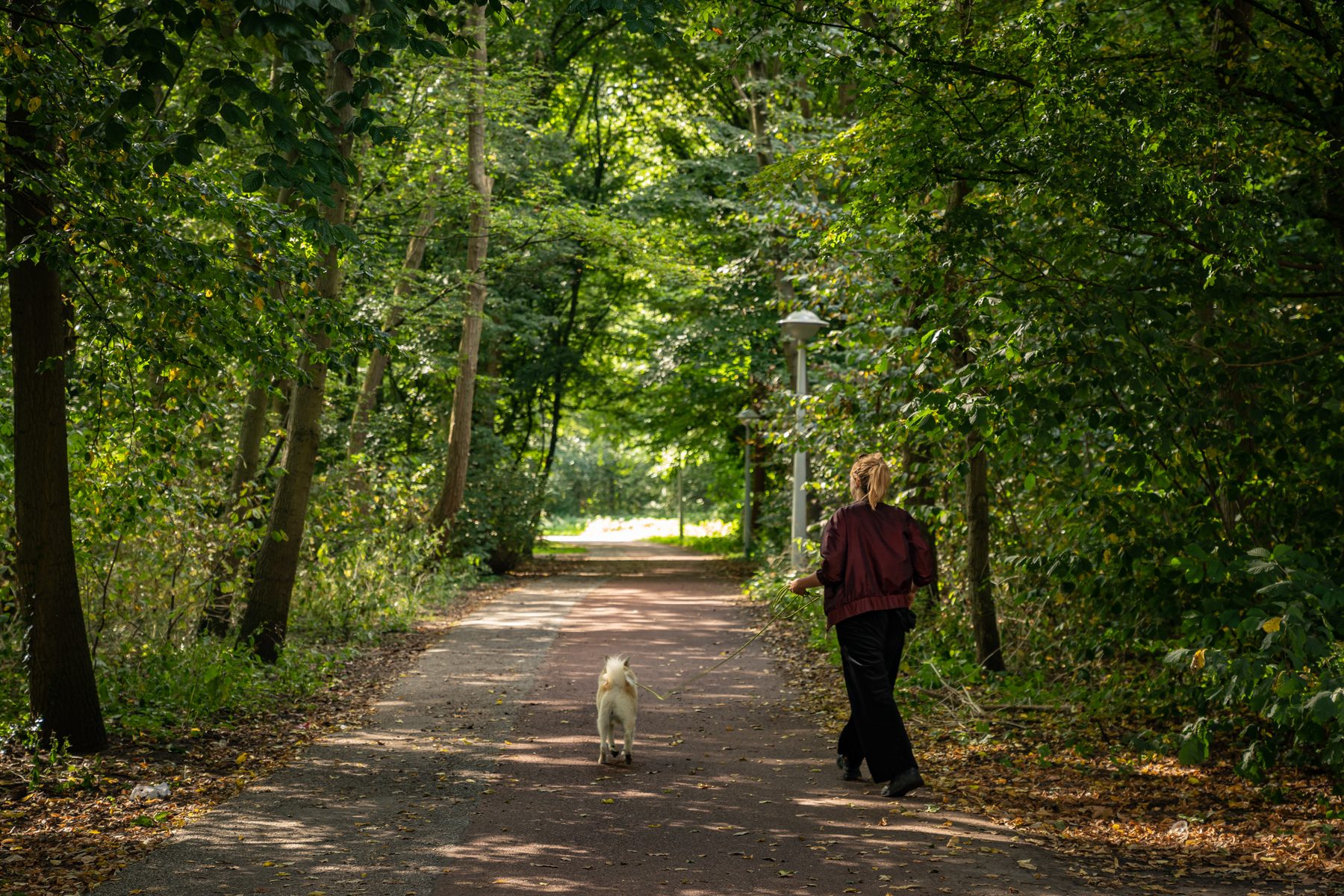 AMSTERDAM Hoofdweg 132-1image 19