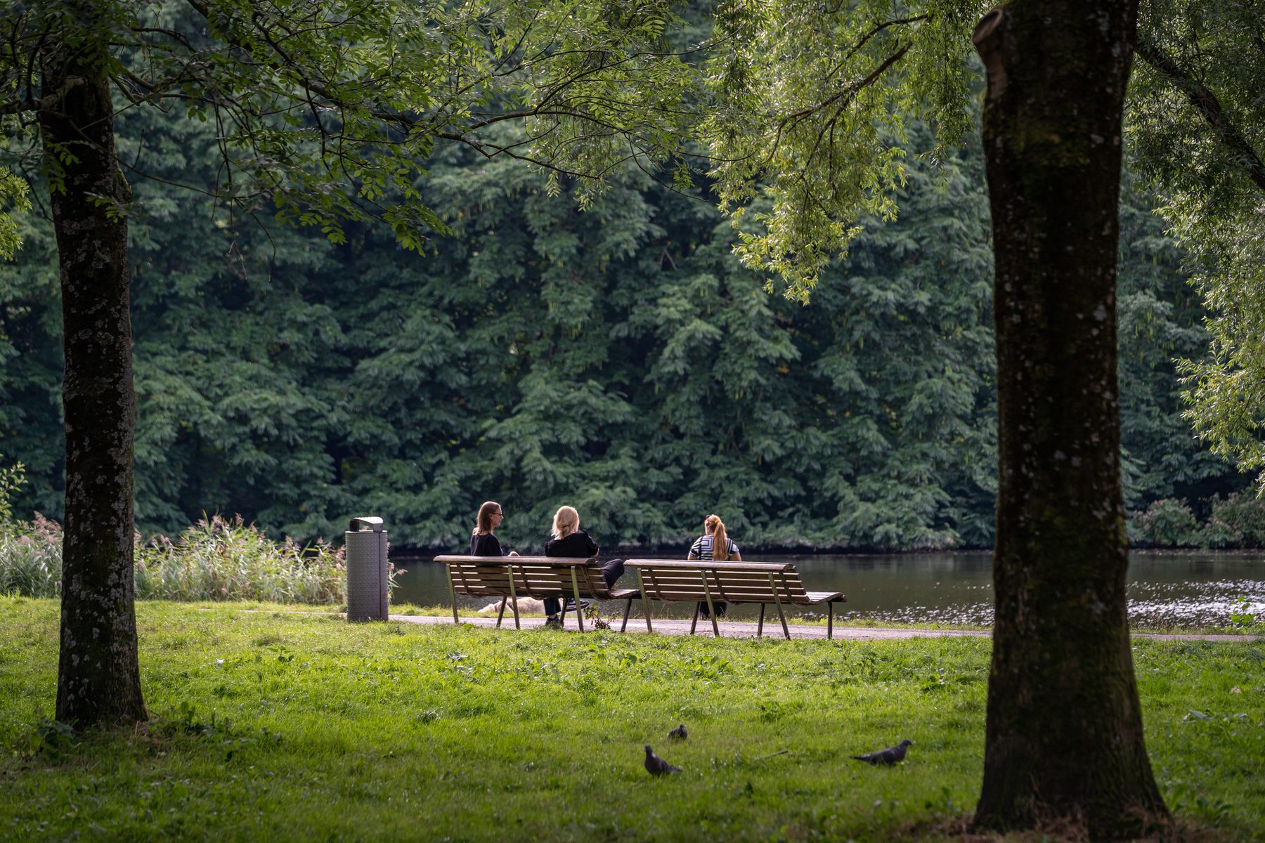 AMSTERDAM Hoofdweg 132-1image 21