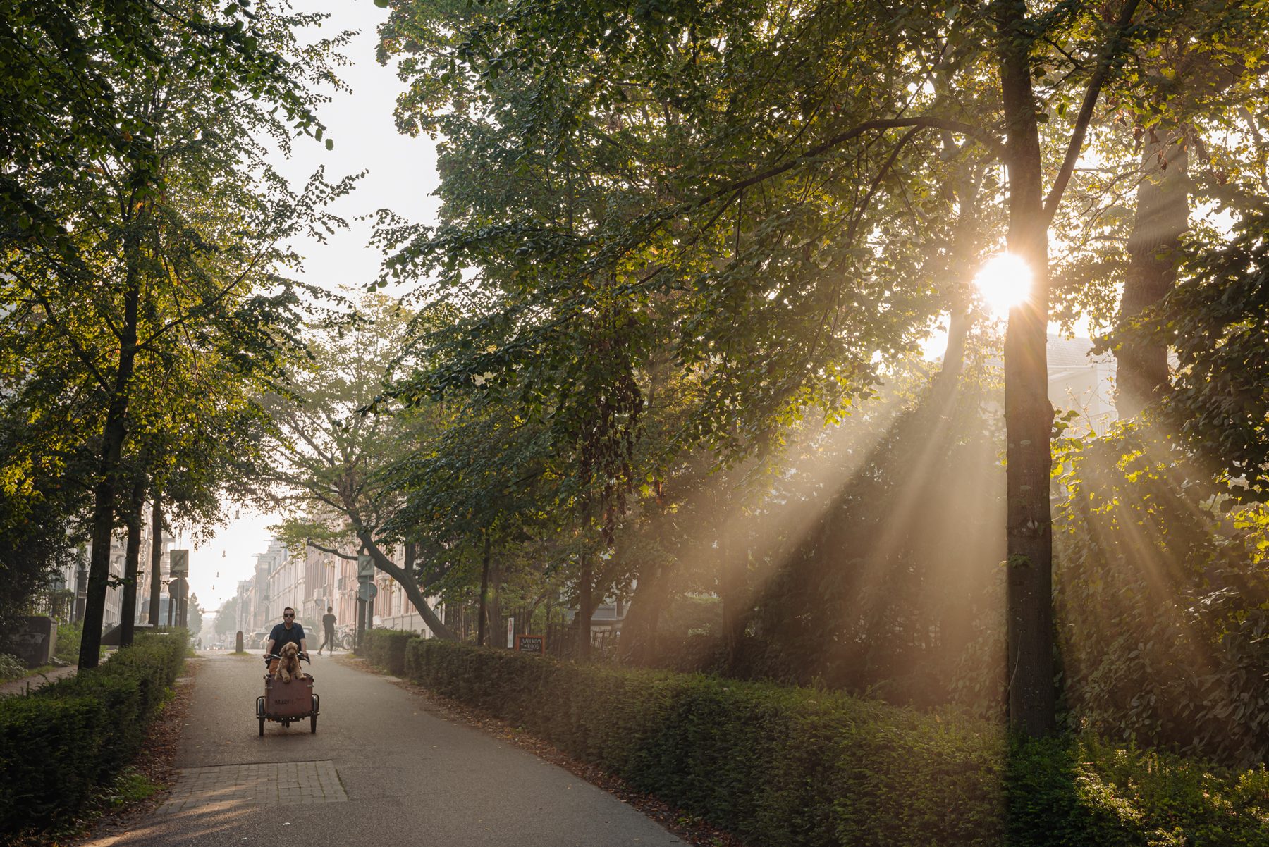 AMSTERDAM Jacob Obrechtstraat 67 Fimage 30