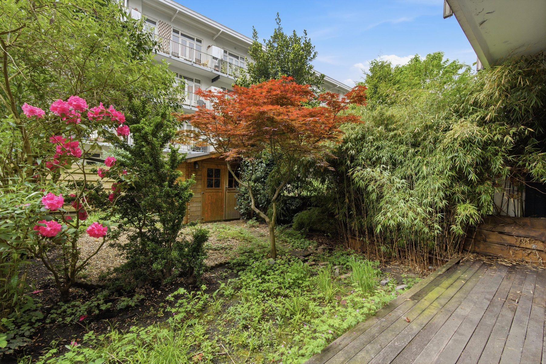 AMSTERDAM John Franklinstraat 61 Himage 14