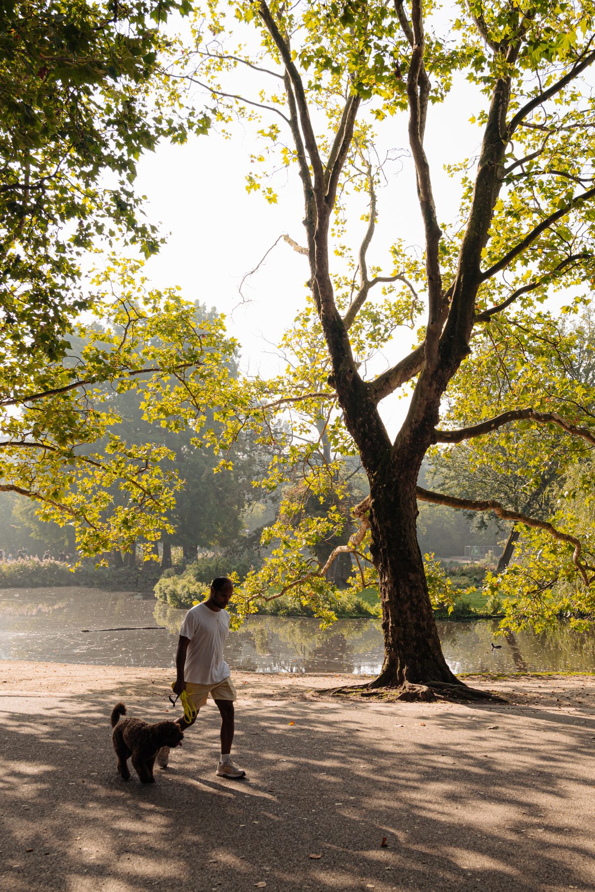 AMSTERDAM Overtoom 564-1image 31