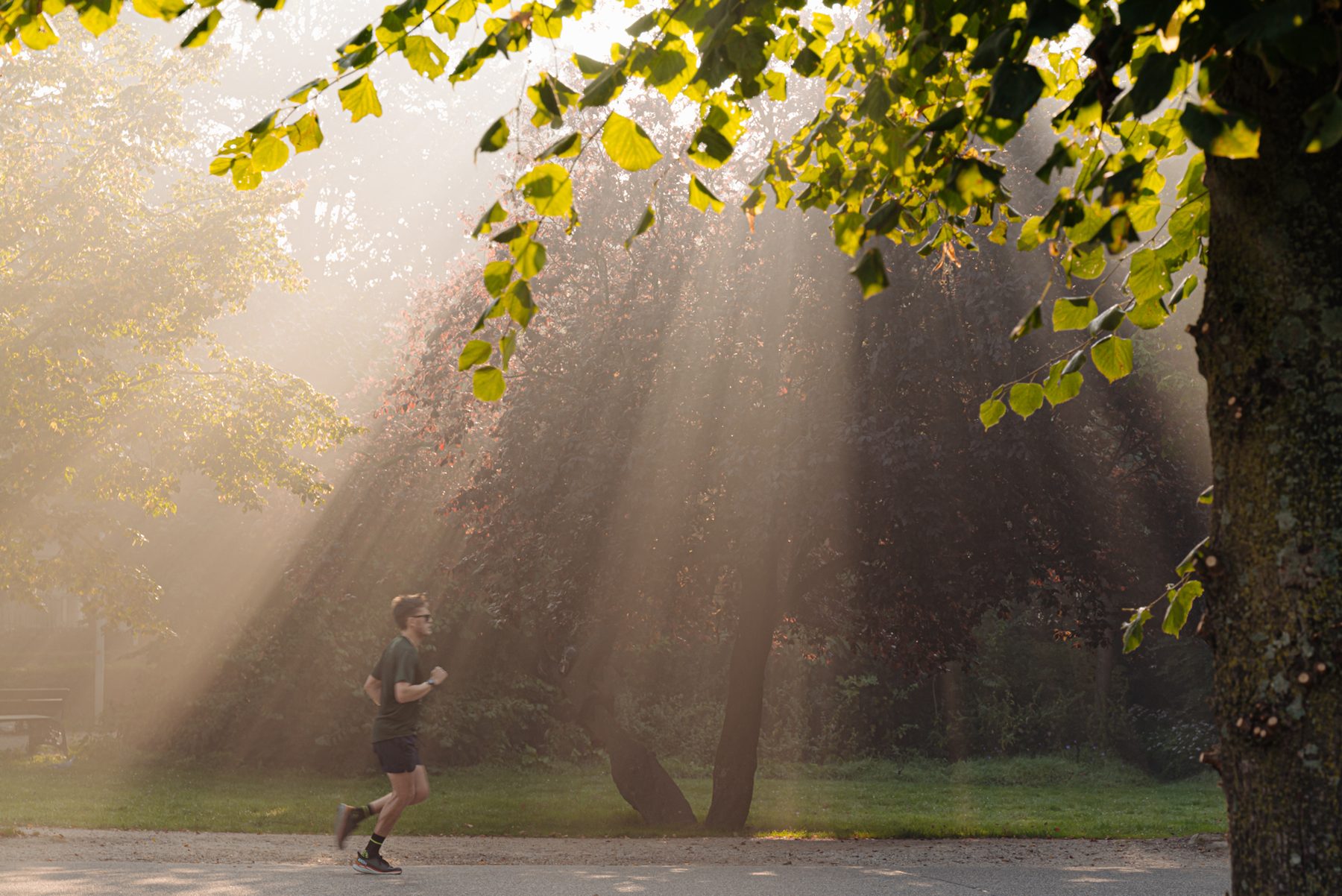 AMSTERDAM Overtoom 564-1image 32