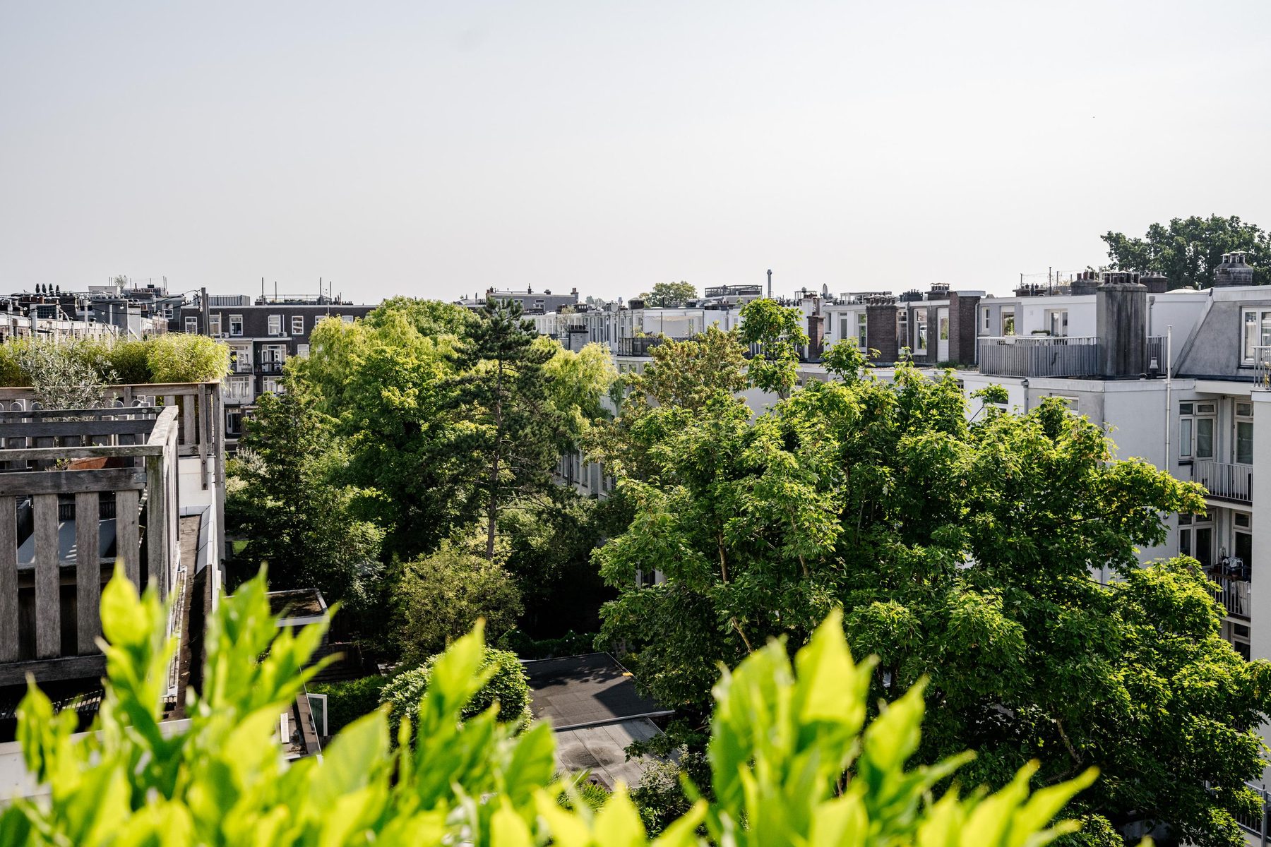 AMSTERDAM Sluisstraat 43-3image 32