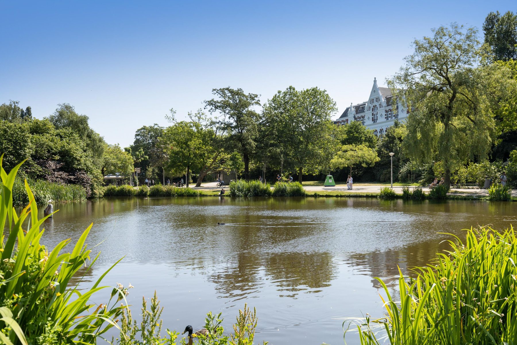 AMSTERDAM Van Eeghenstraat 12 Himage 31