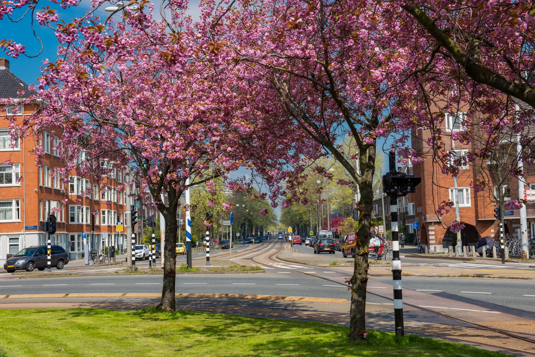 AMSTERDAM Van Walbeeckstraat 82-2image 30