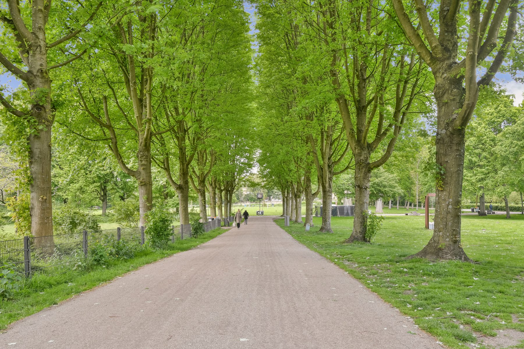 AMSTERDAM Vespuccistraat 134 Himage 24