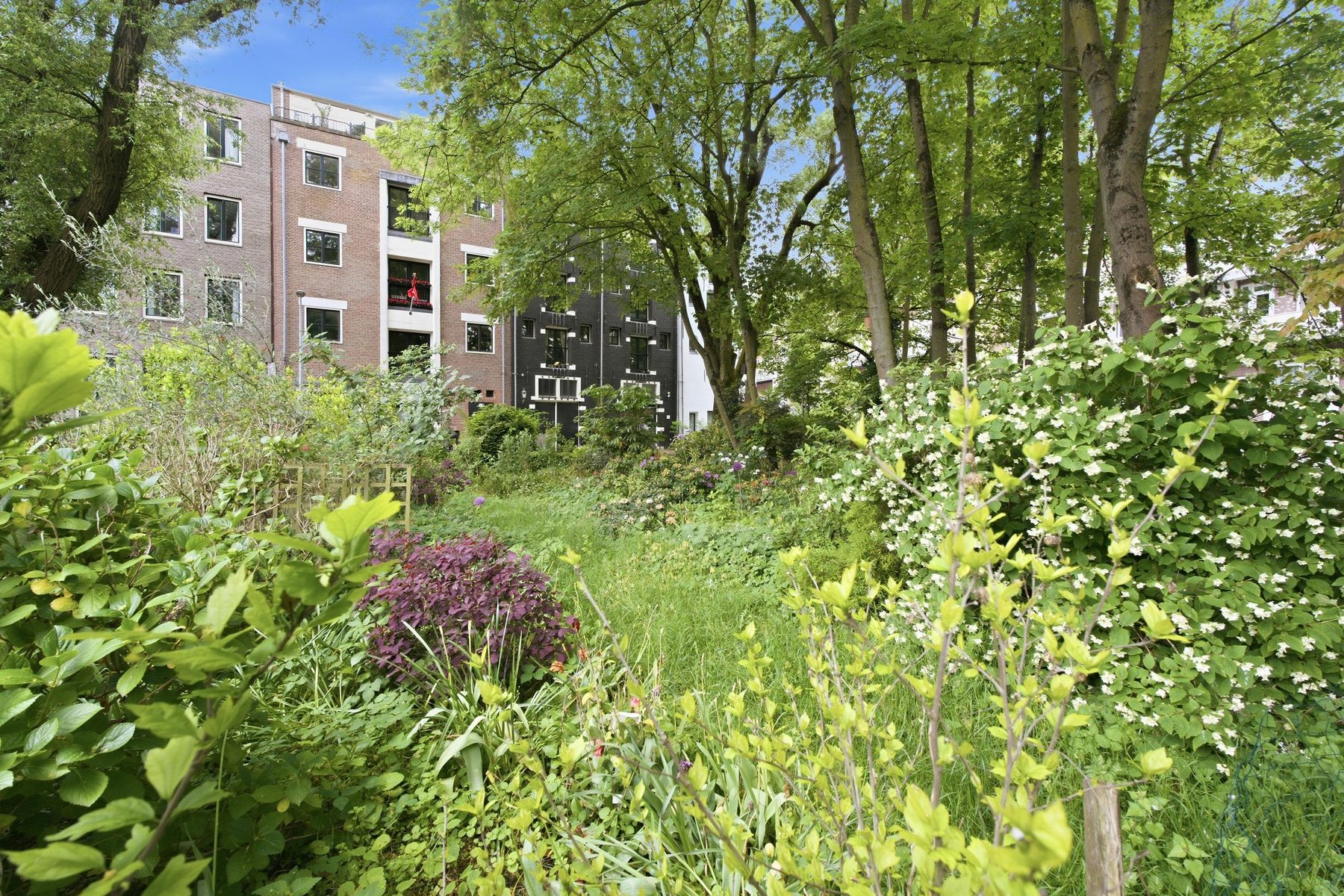 AMSTERDAM Vierwindenstraat 127image 22
