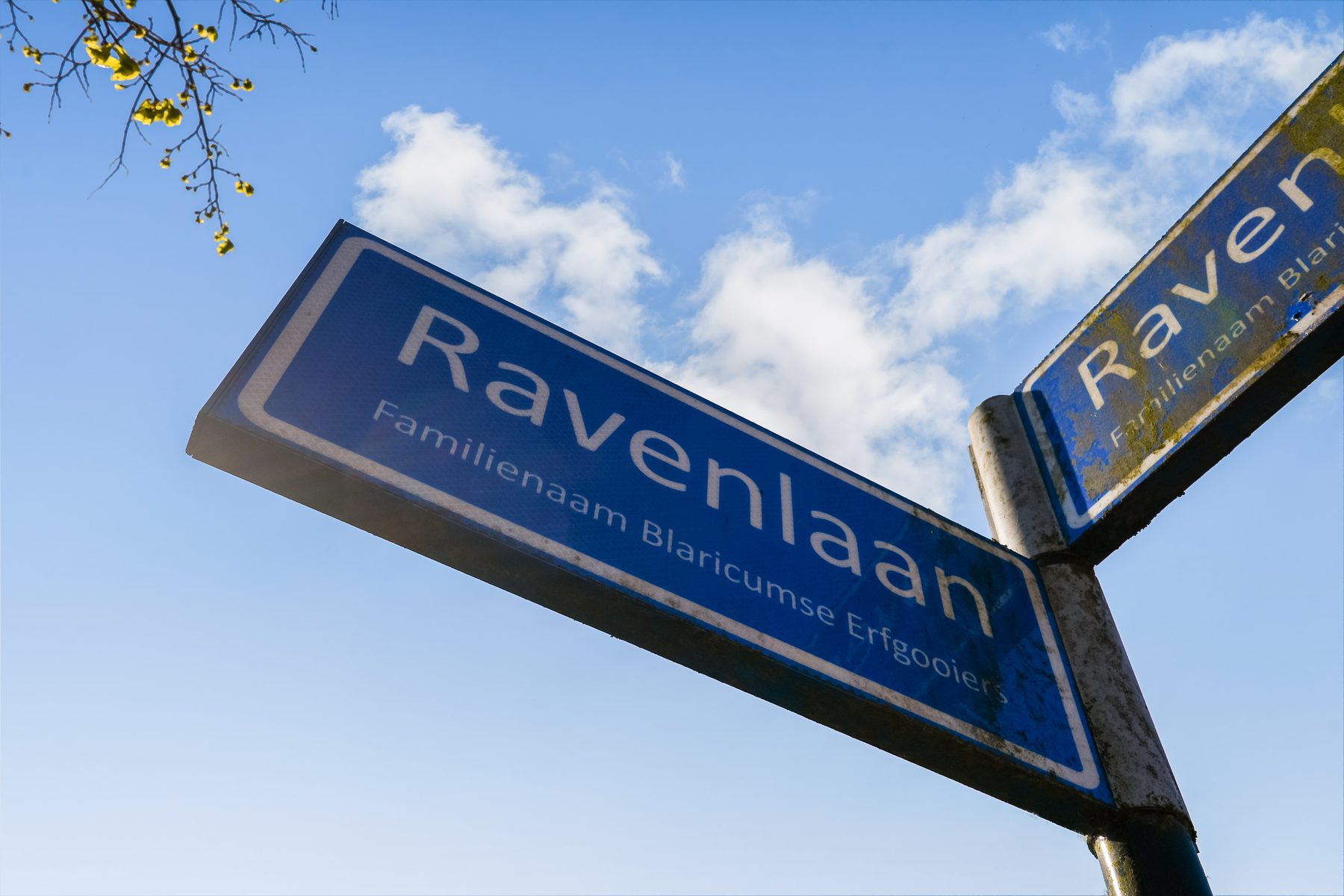 BLARICUM Ravenlaan 19image 33