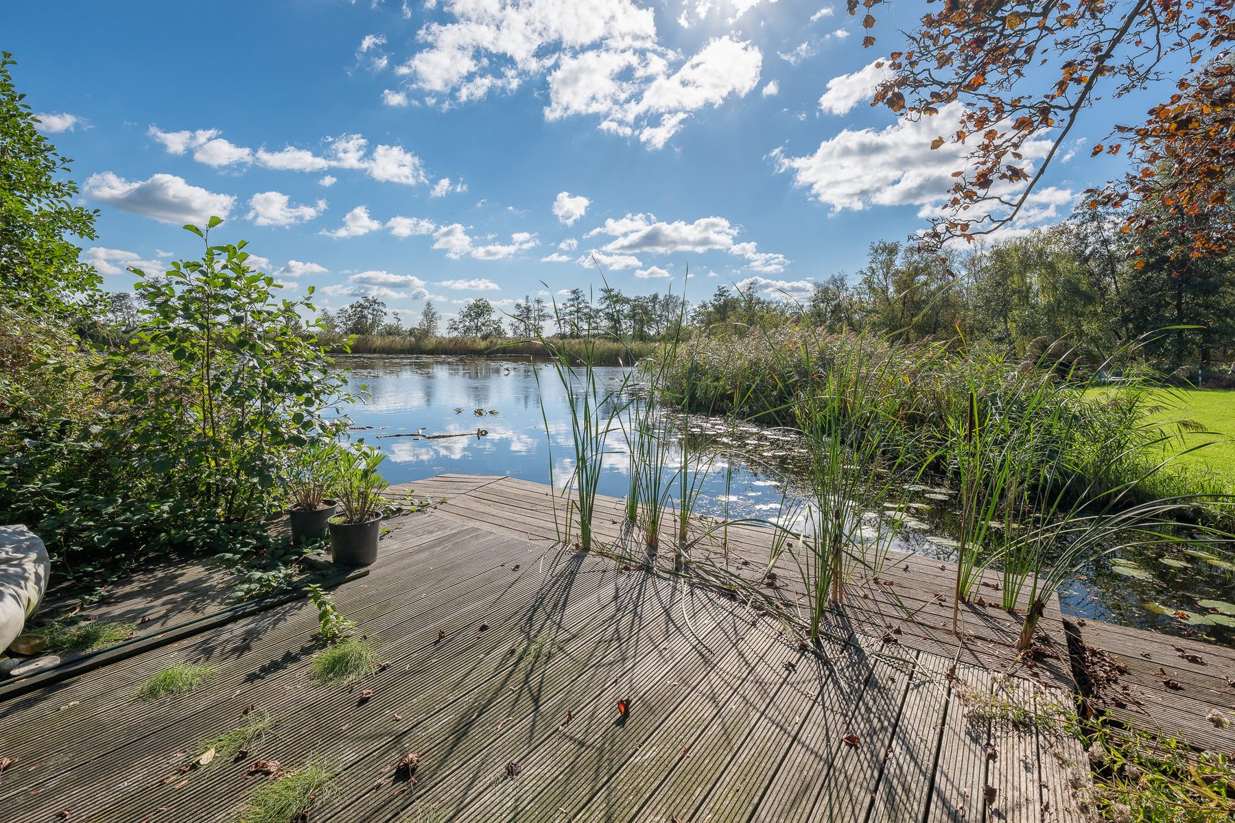 VREELAND Kleizuwe 5image 38