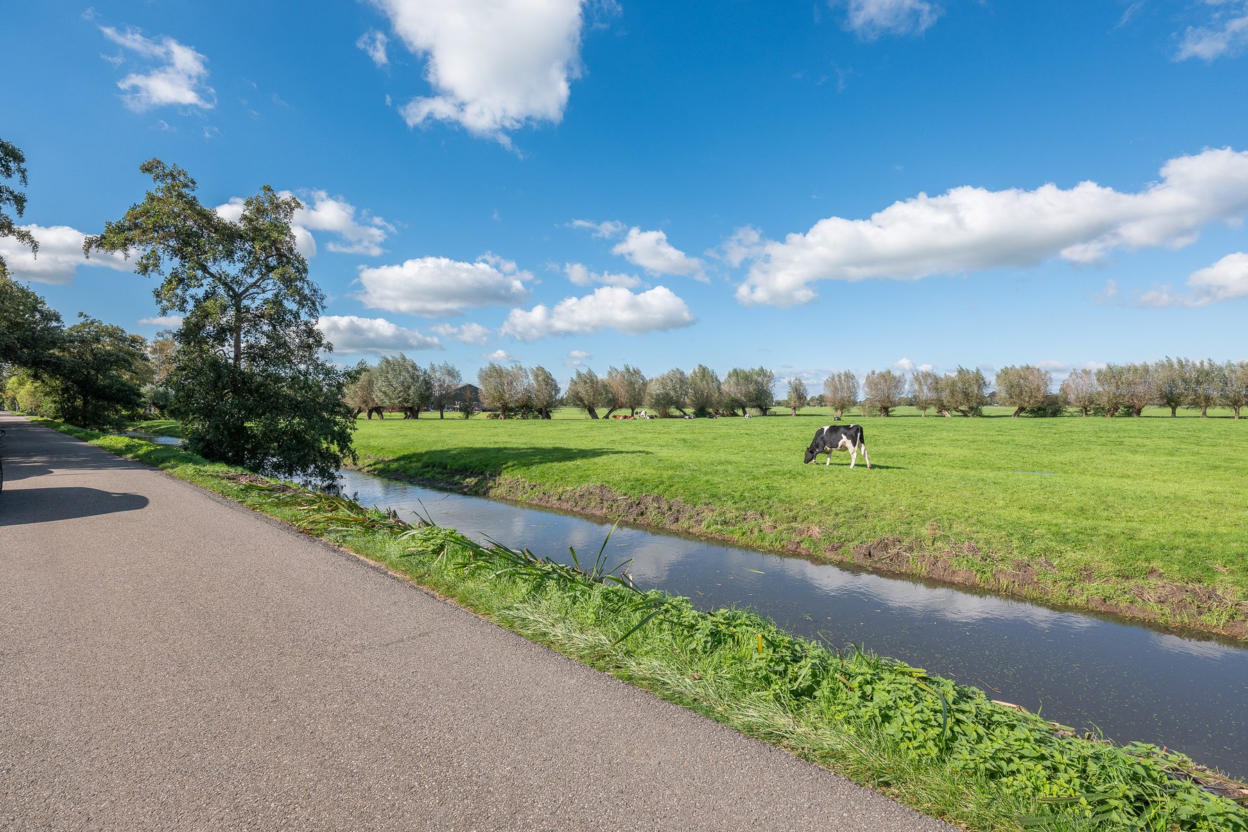 VREELAND Kleizuwe 5image 42